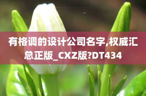 有格调的设计公司名字,权威汇总正版_CXZ版?DT434