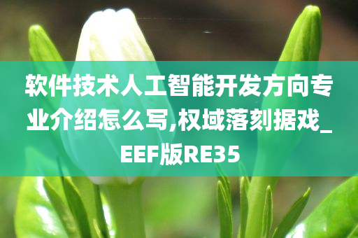 软件技术人工智能开发方向专业介绍怎么写,权域落刻据戏_EEF版RE35