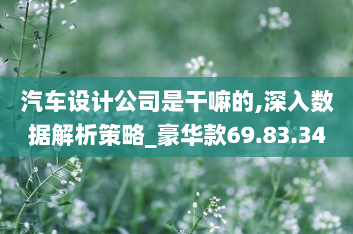 汽车设计公司是干嘛的,深入数据解析策略_豪华款69.83.34