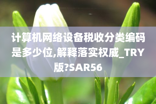 计算机网络设备税收分类编码是多少位,解释落实权威_TRY版?SAR56