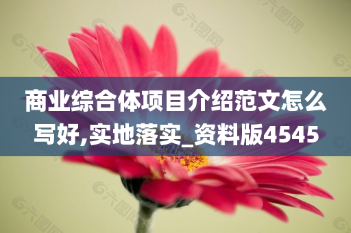 商业综合体项目介绍范文怎么写好,实地落实_资料版4545