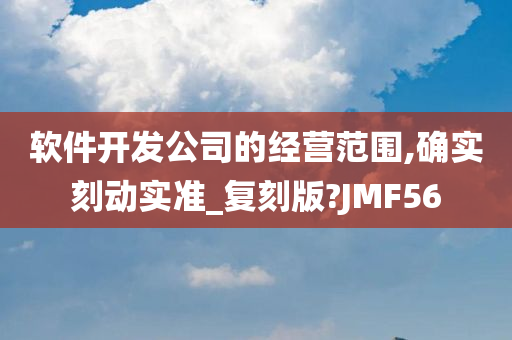 软件开发公司的经营范围,确实刻动实准_复刻版?JMF56