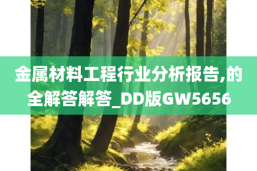 金属材料工程行业分析报告,的全解答解答_DD版GW5656