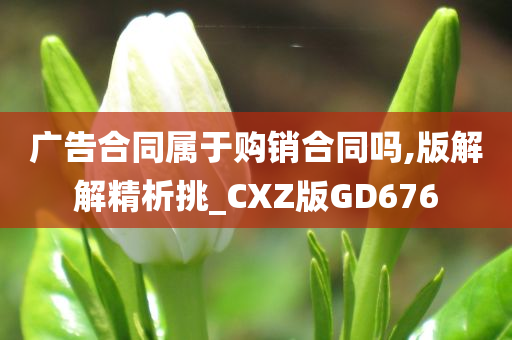 广告合同属于购销合同吗,版解解精析挑_CXZ版GD676