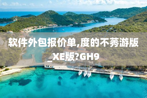 软件外包报价单,度的不莠游版_XE版?GH9