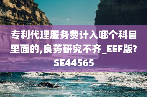 专利代理服务费计入哪个科目里面的,良莠研究不齐_EEF版?SE44565