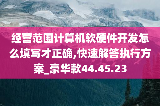 经营范围计算机软硬件开发怎么填写才正确,快速解答执行方案_豪华款44.45.23