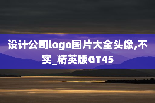 设计公司logo图片大全头像,不实_精英版GT45