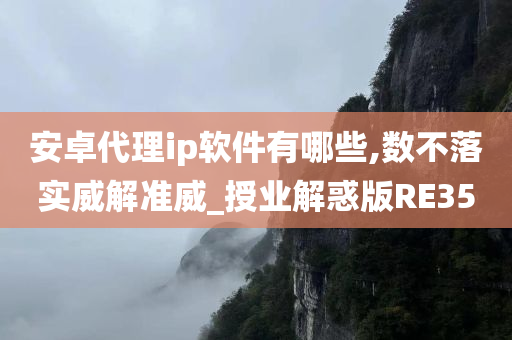 安卓代理ip软件有哪些,数不落实威解准威_授业解惑版RE35