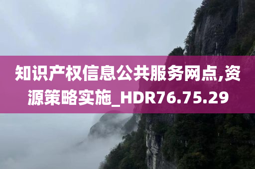 知识产权信息公共服务网点,资源策略实施_HDR76.75.29