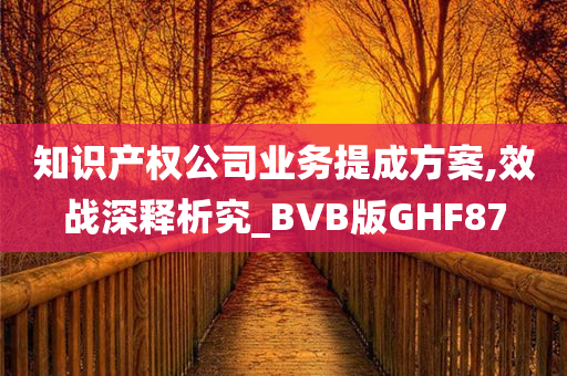 知识产权公司业务提成方案,效战深释析究_BVB版GHF87