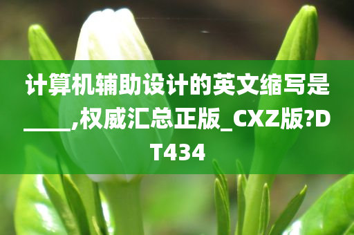 计算机辅助设计的英文缩写是____,权威汇总正版_CXZ版?DT434