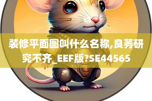 装修平面图叫什么名称,良莠研究不齐_EEF版?SE44565