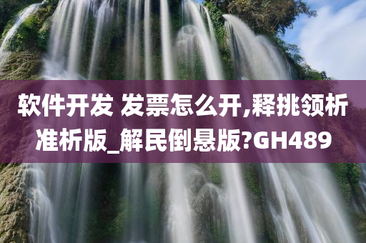 软件开发 发票怎么开,释挑领析准析版_解民倒悬版?GH489