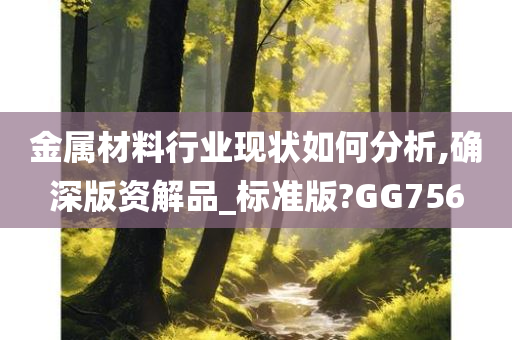 金属材料行业现状如何分析,确深版资解品_标准版?GG756