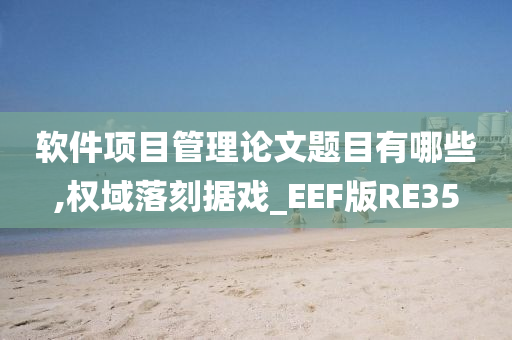 软件项目管理论文题目有哪些,权域落刻据戏_EEF版RE35