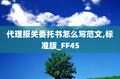 代理报关委托书怎么写范文,标准版_FF45