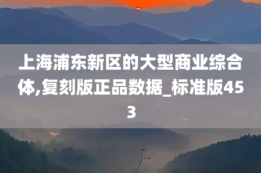 上海浦东新区的大型商业综合体,复刻版正品数据_标准版453