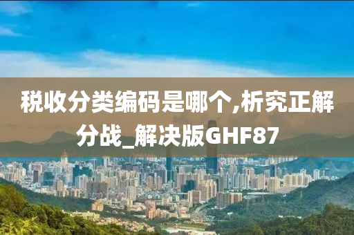 税收分类编码是哪个,析究正解分战_解决版GHF87