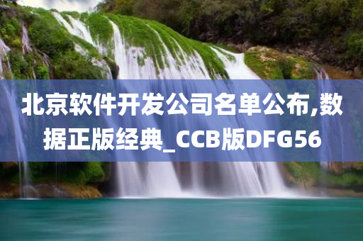 北京软件开发公司名单公布,数据正版经典_CCB版DFG56