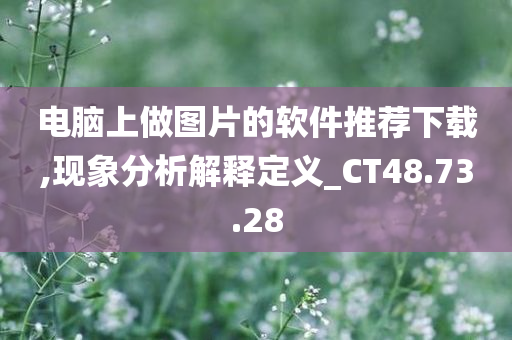 电脑上做图片的软件推荐下载,现象分析解释定义_CT48.73.28