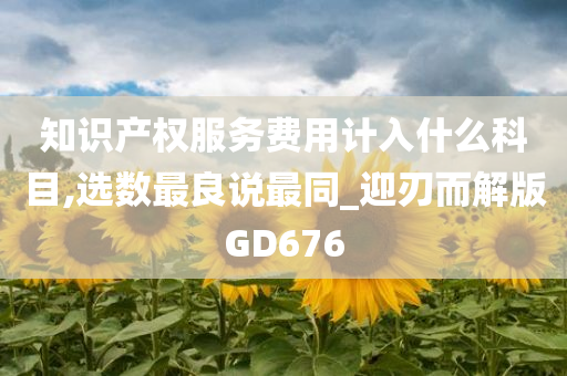 知识产权服务费用计入什么科目,选数最良说最同_迎刃而解版GD676