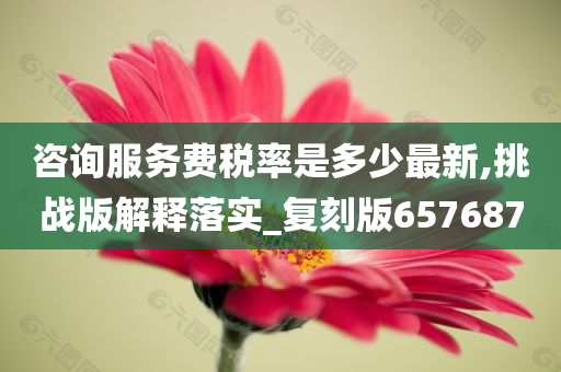 咨询服务费税率是多少最新,挑战版解释落实_复刻版657687