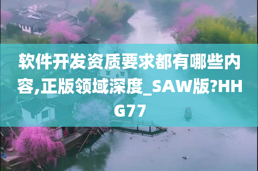 软件开发资质要求都有哪些内容,正版领域深度_SAW版?HHG77