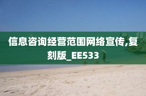 信息咨询经营范围网络宣传,复刻版_EE533