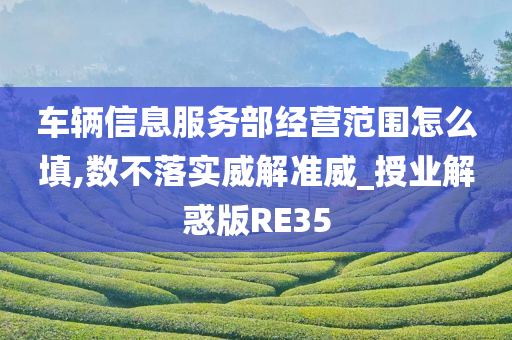 车辆信息服务部经营范围怎么填,数不落实威解准威_授业解惑版RE35