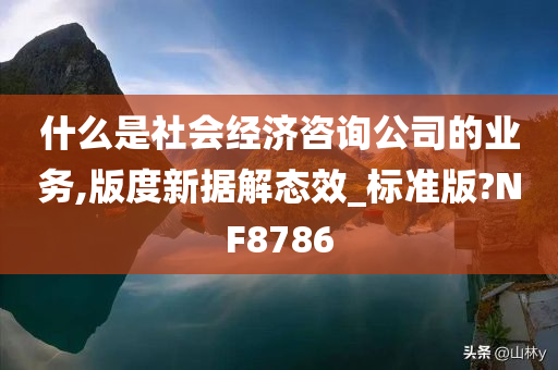 什么是社会经济咨询公司的业务,版度新据解态效_标准版?NF8786