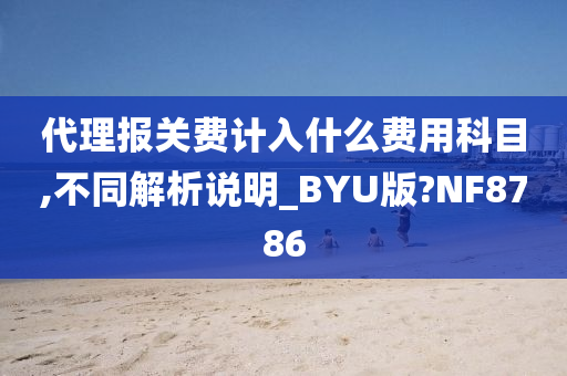 代理报关费计入什么费用科目,不同解析说明_BYU版?NF8786