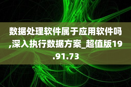 数据处理软件属于应用软件吗,深入执行数据方案_超值版19.91.73