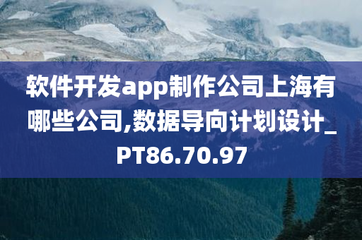 软件开发app制作公司上海有哪些公司,数据导向计划设计_PT86.70.97