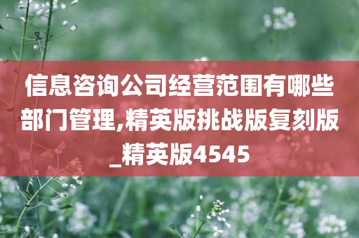 信息咨询公司经营范围有哪些部门管理,精英版挑战版复刻版_精英版4545