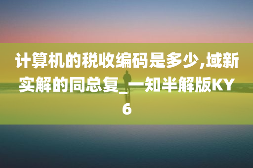 计算机的税收编码是多少,域新实解的同总复_一知半解版KY6