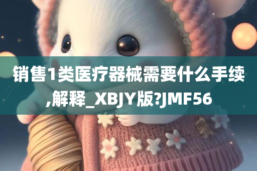 销售1类医疗器械需要什么手续,解释_XBJY版?JMF56