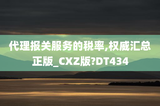 代理报关服务的税率,权威汇总正版_CXZ版?DT434