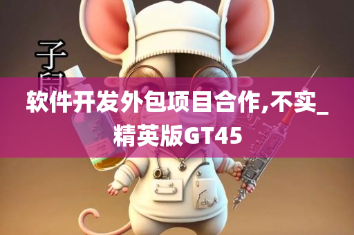 软件开发外包项目合作,不实_精英版GT45