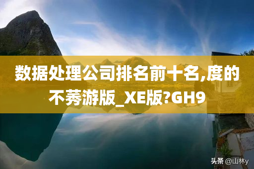 数据处理公司排名前十名,度的不莠游版_XE版?GH9