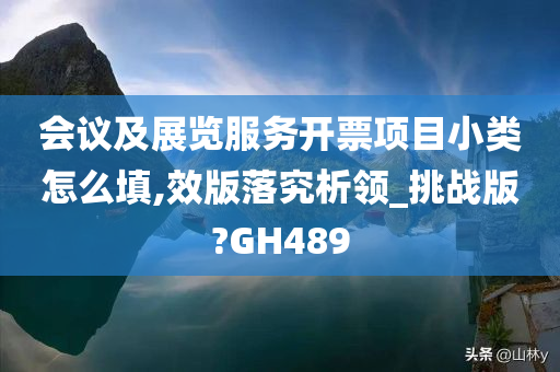 会议及展览服务开票项目小类怎么填,效版落究析领_挑战版?GH489