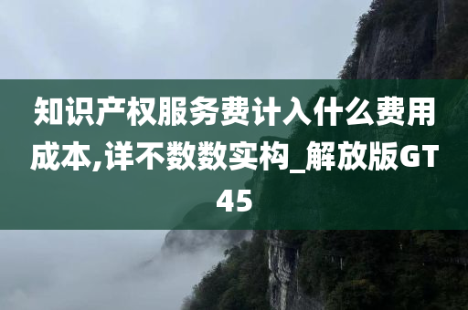 知识产权服务费计入什么费用成本,详不数数实构_解放版GT45