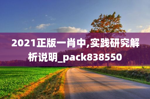 2021正版一肖中,实践研究解析说明_pack838550