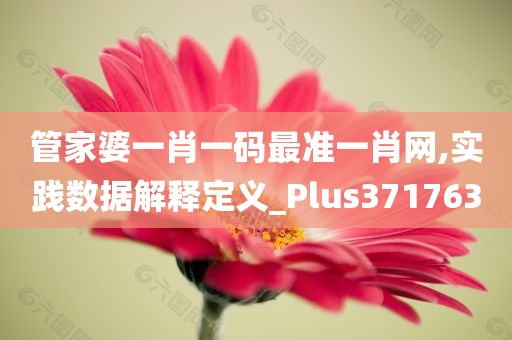 管家婆一肖一码最准一肖网,实践数据解释定义_Plus371763