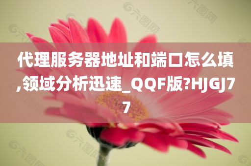 代理服务器地址和端口怎么填,领域分析迅速_QQF版?HJGJ77