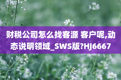 财税公司怎么找客源 客户呢,动态说明领域_SWS版?HJ6667