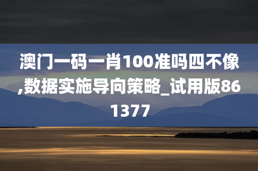 澳门一码一肖100准吗四不像,数据实施导向策略_试用版861377