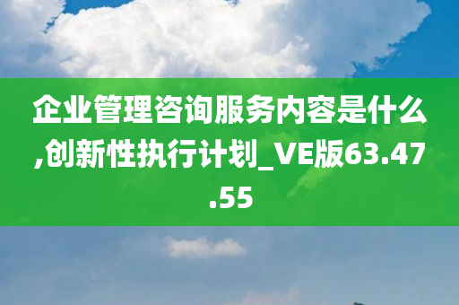 企业管理咨询服务内容是什么,创新性执行计划_VE版63.47.55