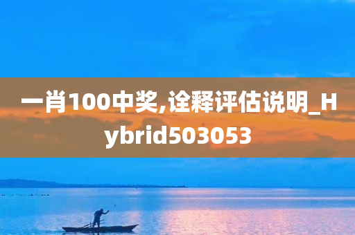 一肖100中奖,诠释评估说明_Hybrid503053