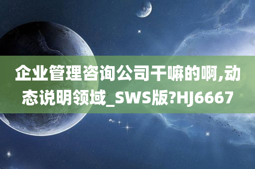 企业管理咨询公司干嘛的啊,动态说明领域_SWS版?HJ6667